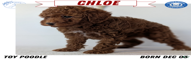 Chloe