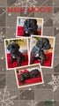 Cane Corso Male Puppy Moose