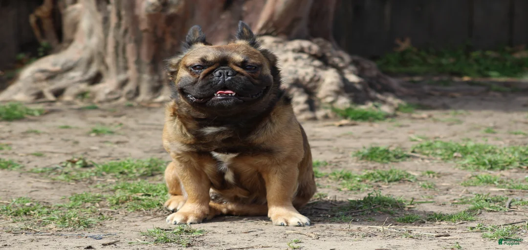 Gallery Image {{count}}