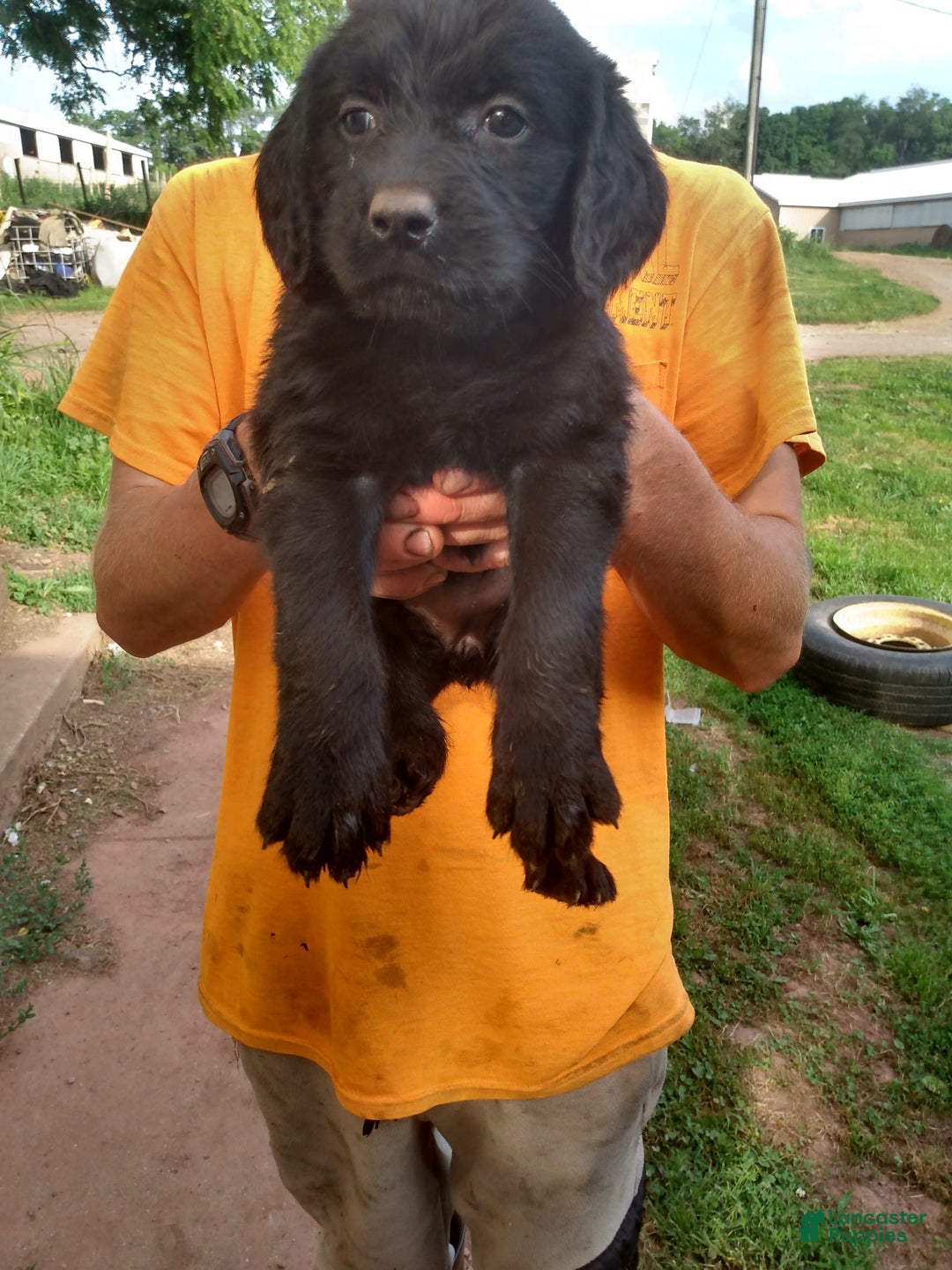 Gallery Image {{count}}