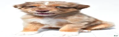 Lee