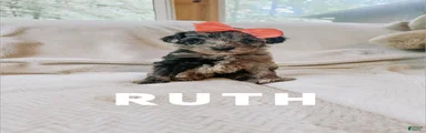 Ruth