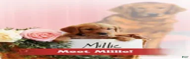 Millie 
