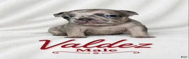 Valdez 
