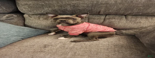 Lola
