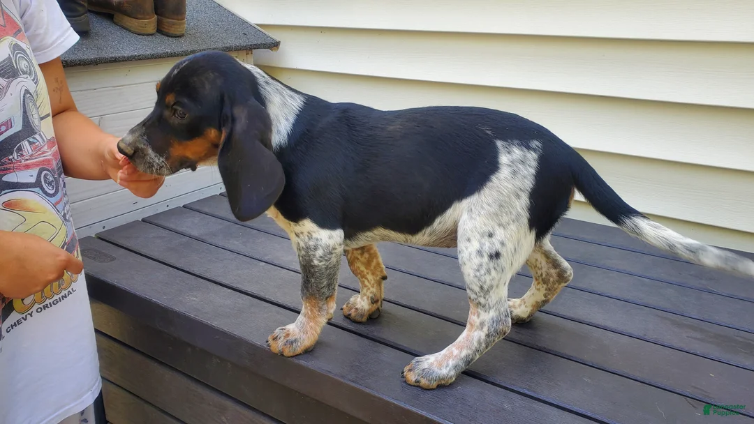 Gallery Image {{count}}