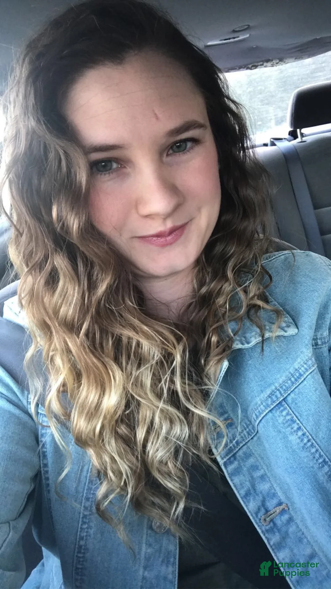 Gallery Image {{count}}