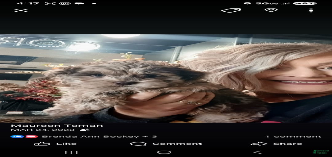 Gallery Image {{count}}