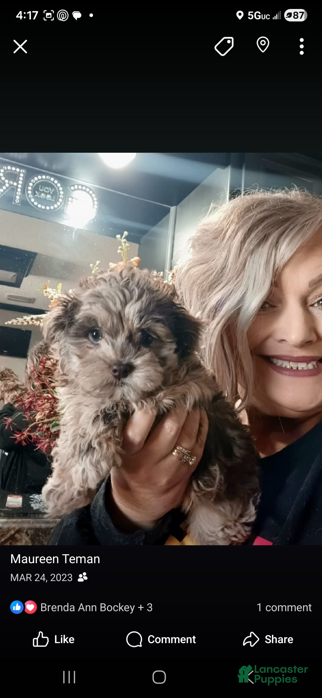 Gallery Image {{count}}