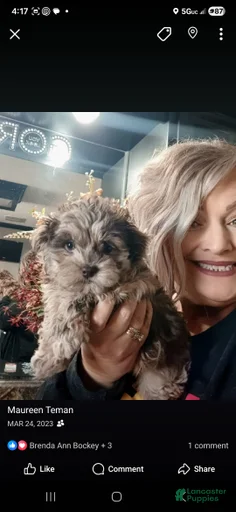 Gallery Image {{count}}