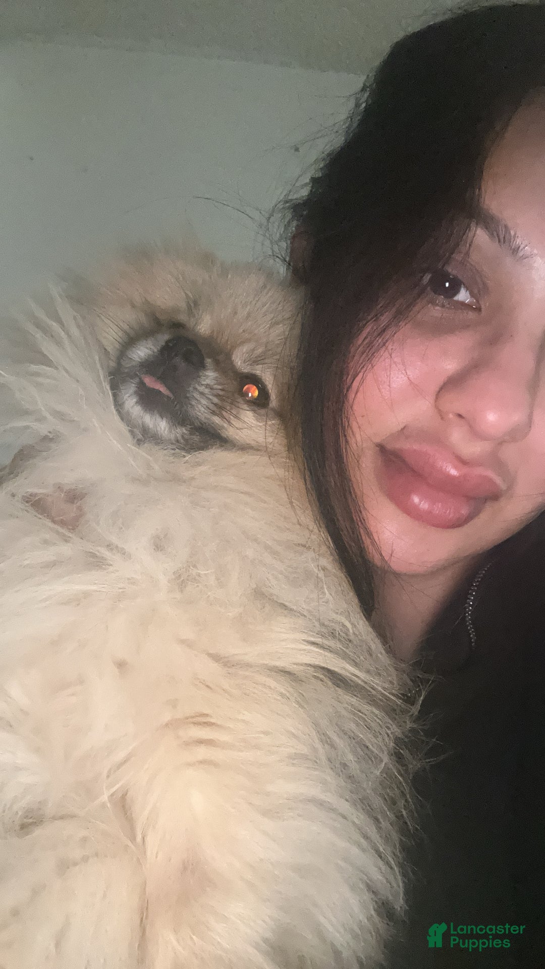 Gallery Image {{count}}