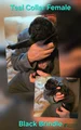 Cane Corso Puppy 4