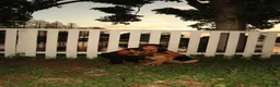 German Shepherd dogs for sale: Bella - Ad 6