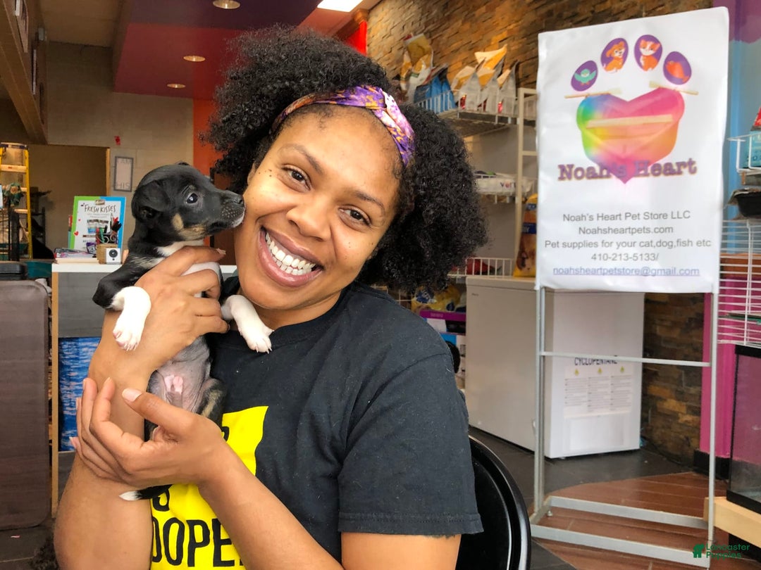 Gallery Image {{count}}