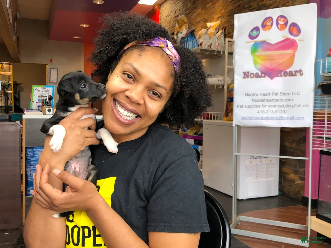 Gallery Image {{count}}