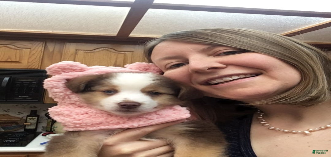 Gallery Image {{count}}