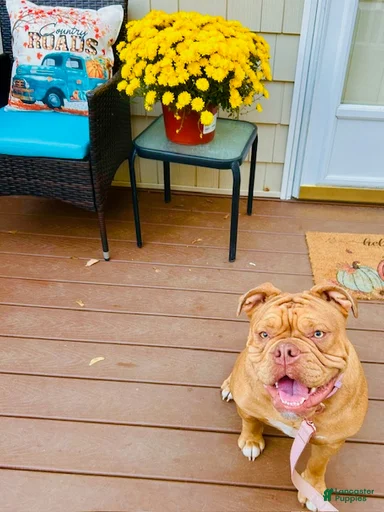 Gallery Image {{count}}