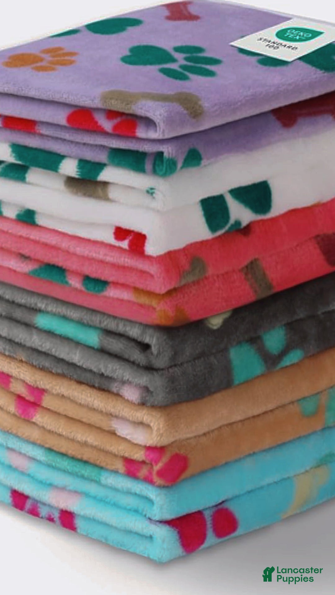 German Shepherd dogs for sale: Frost - Ad 7