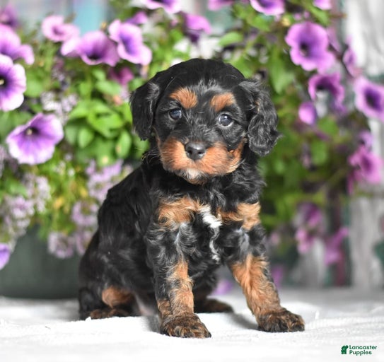 Gallery Image {{count}}