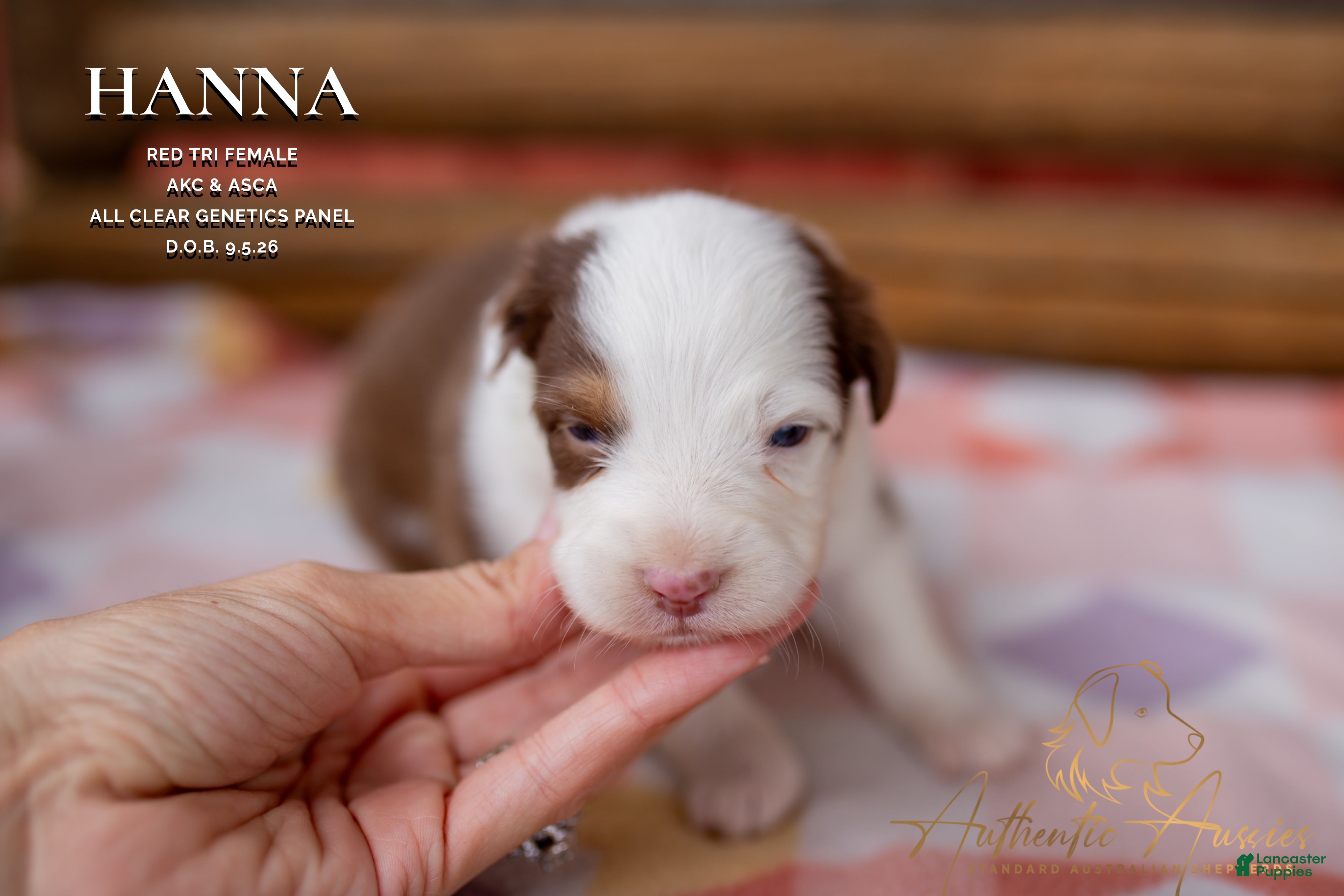 Hanna
