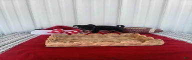 Chihuahua 1