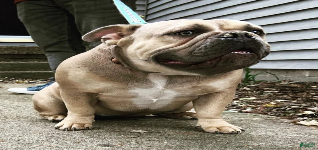 Gallery Image {{count}}