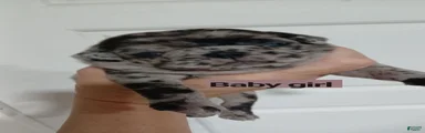 Pug Female 1
