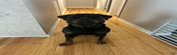 Rottweiler dogs for sale: Rottweiler Puppy 1 - Jax - Ad 4