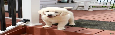 Zachary 