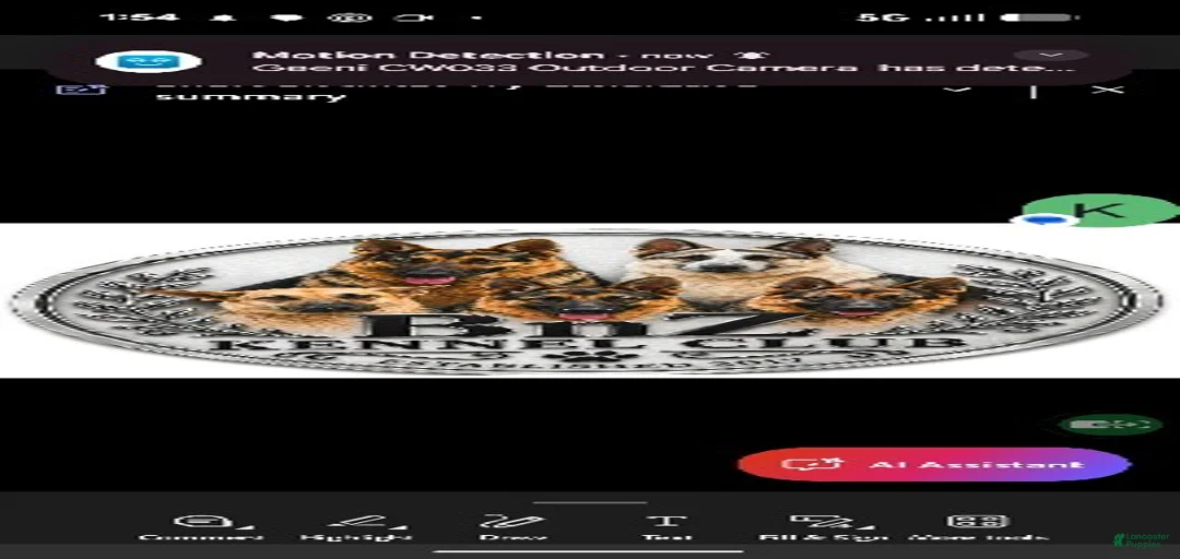 Gallery Image {{count}}