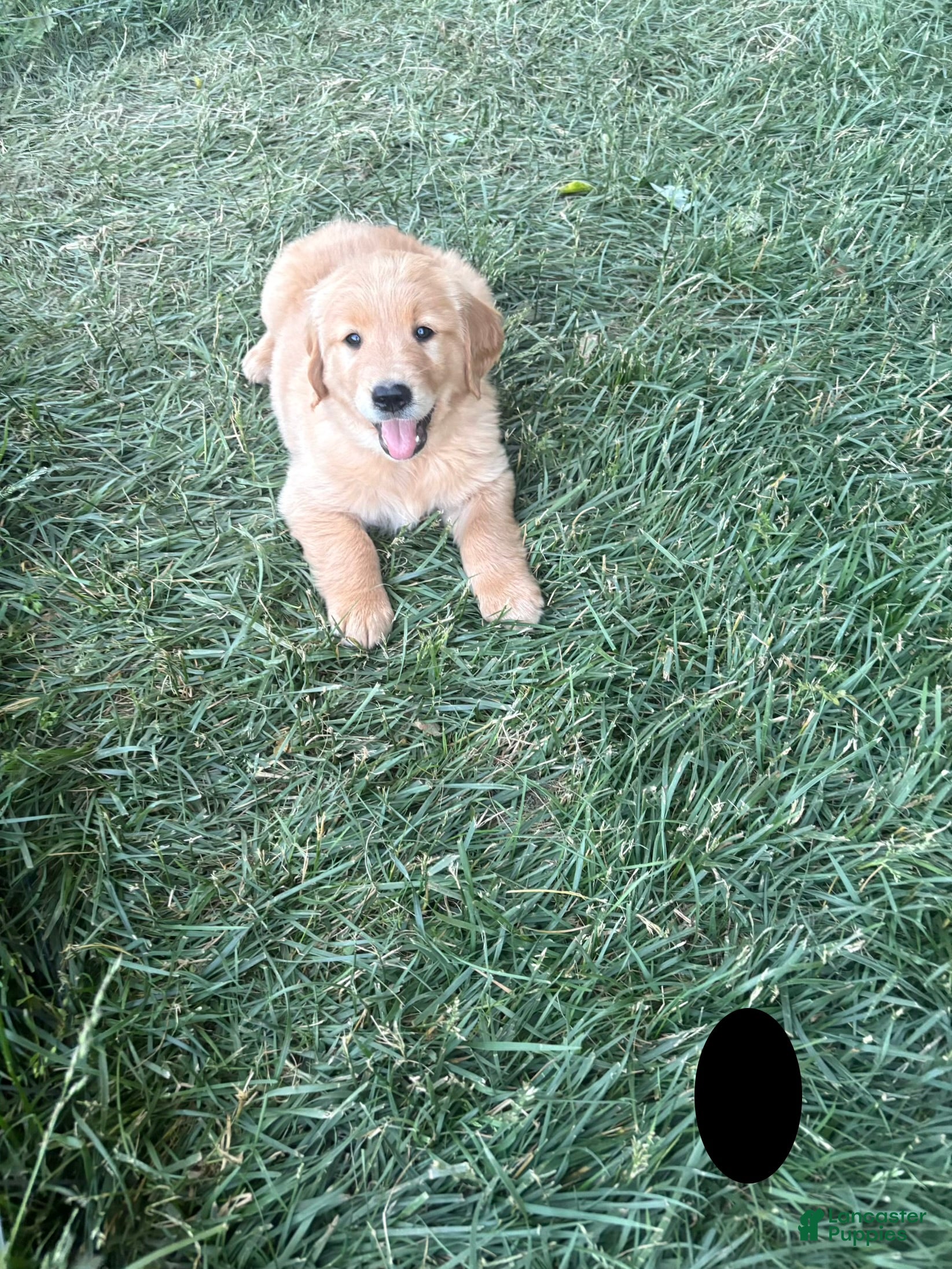 Buster