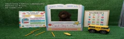 Australian Labradoodle dogs for sale: CCG1 - Ad 1