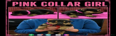 German Shepherd Puppy 4