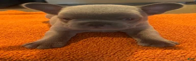 Red_M_2026