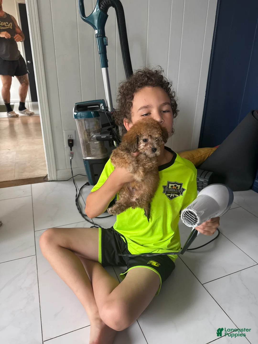 Toy Poodle dogs for sale: Toy Poodle Puppy 4 - Ad 8