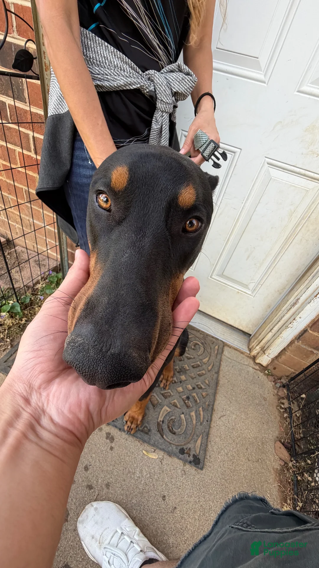 Gallery Image {{count}}