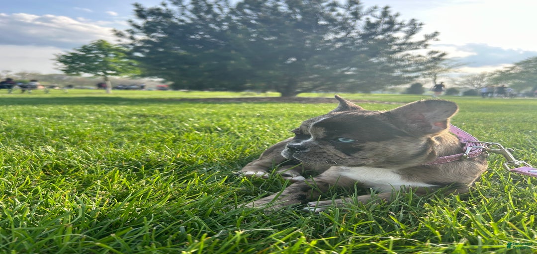 Gallery Image {{count}}