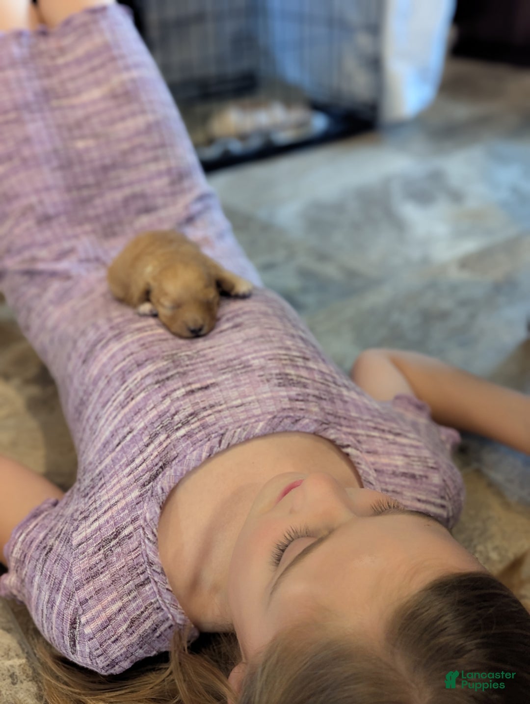 Mixed Breed dogs for sale: Luna  - Ad 16