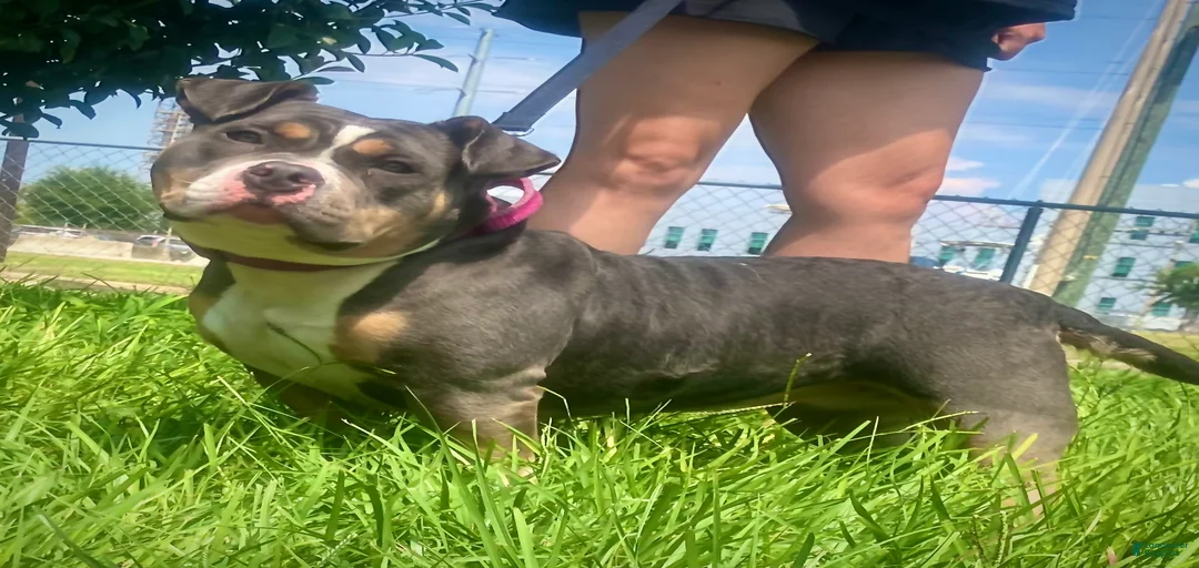 Gallery Image {{count}}