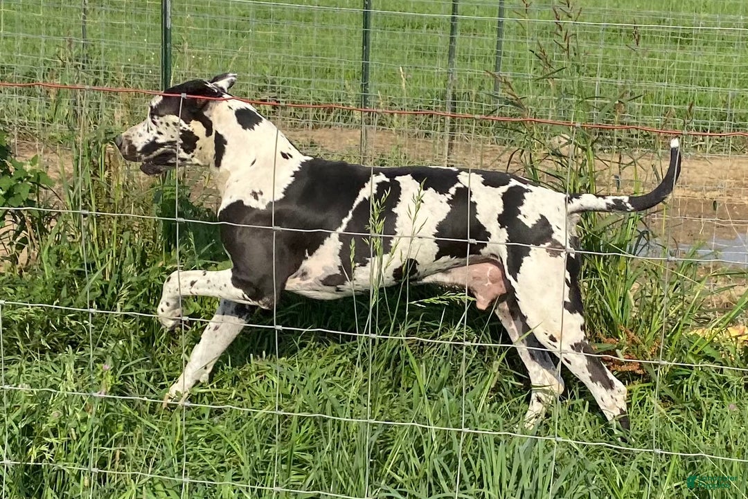 Gallery Image {{count}}