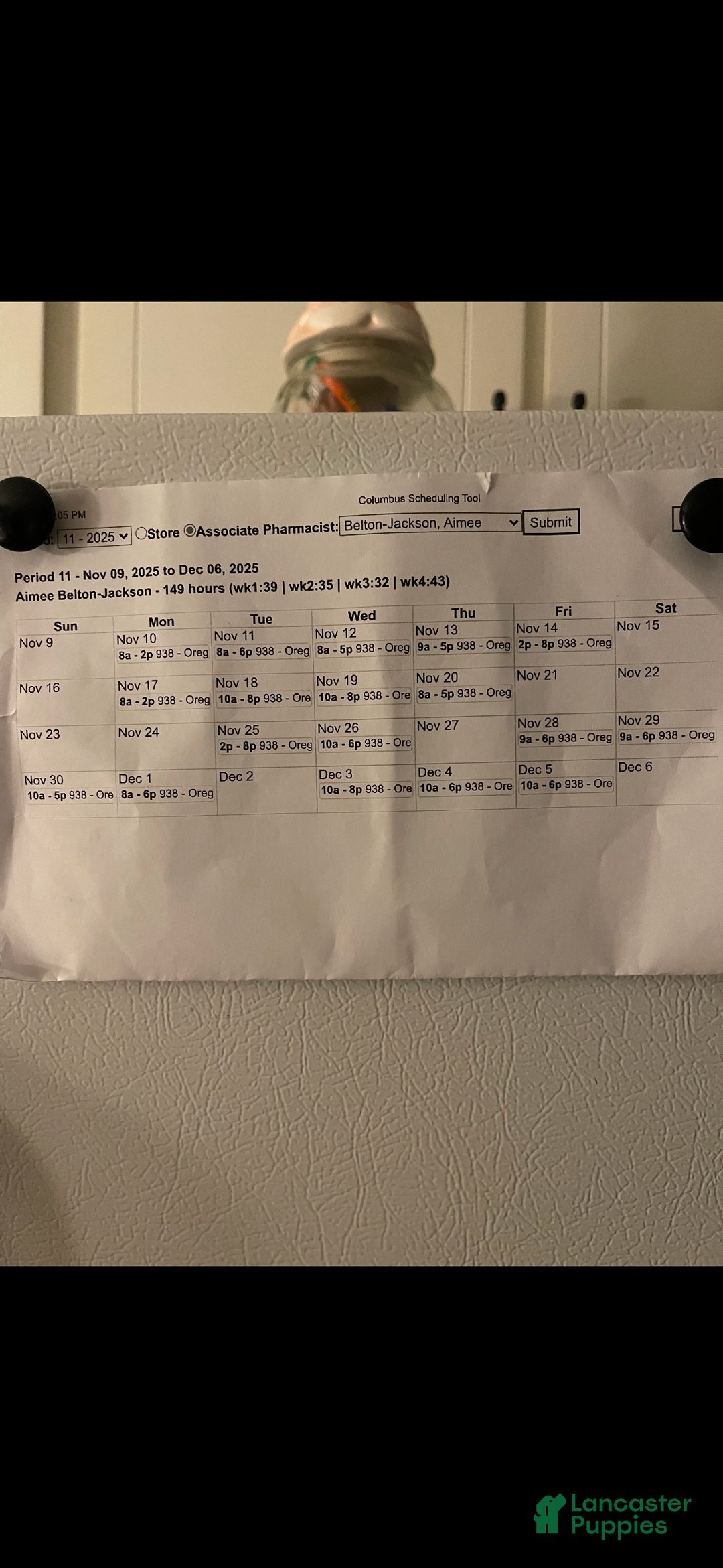 English Bulldog dogs for sale: Lucy - Ad 23