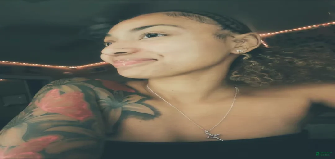 Gallery Image {{count}}