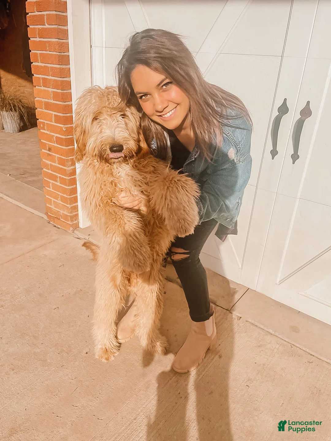 Gallery Image {{count}}