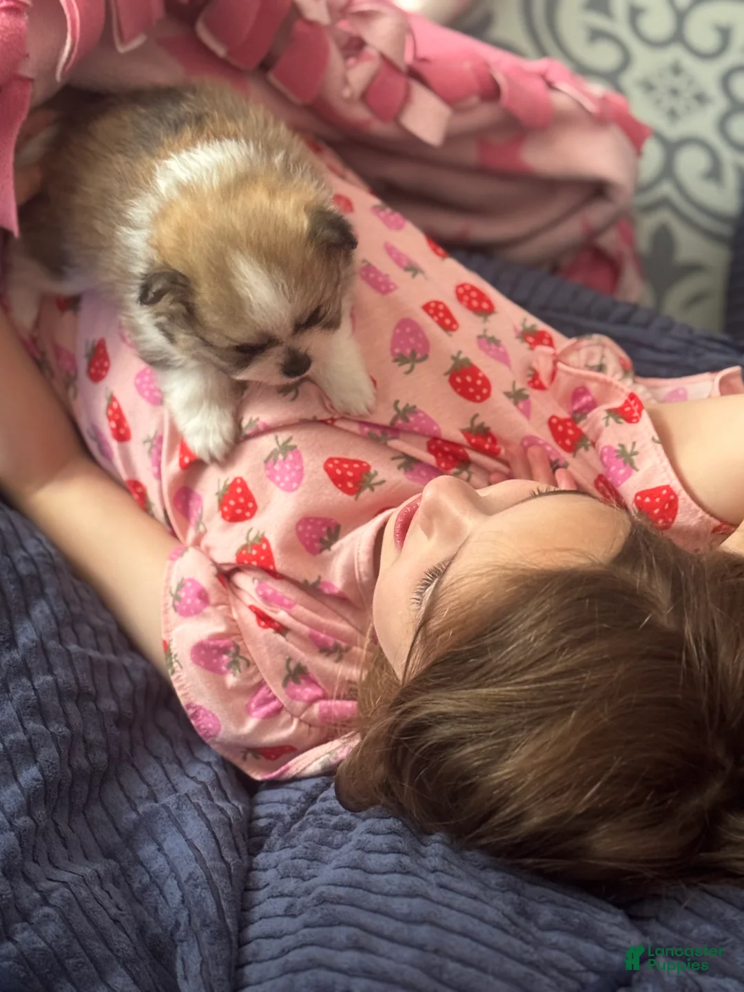 Gallery Image {{count}}