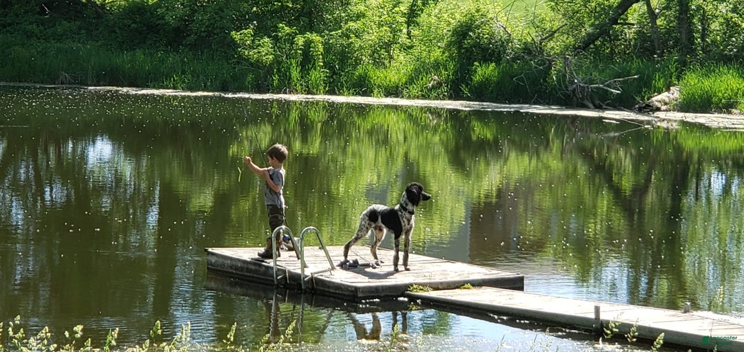 Gallery Image {{count}}