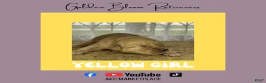 Yellow Girl