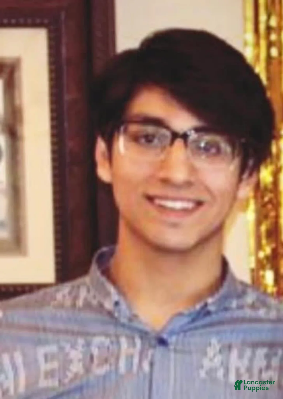 Gallery Image {{count}}