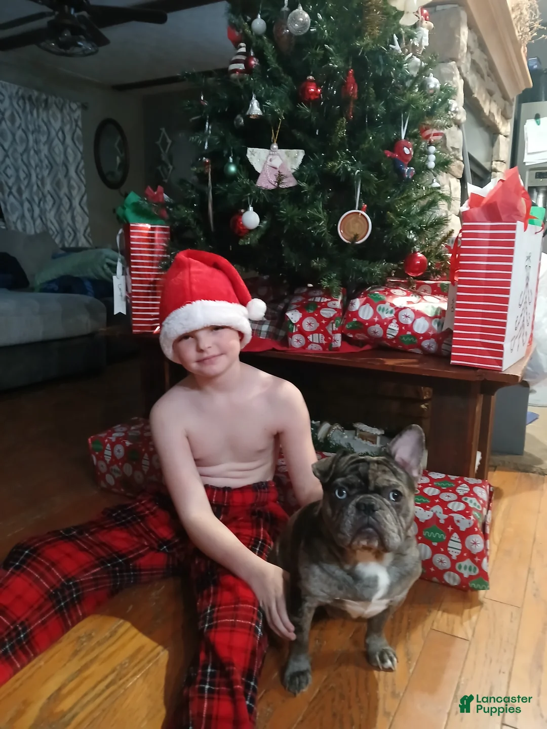 Gallery Image {{count}}