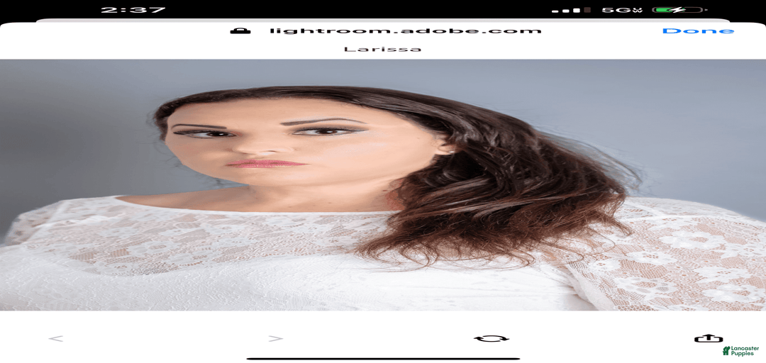 Gallery Image {{count}}