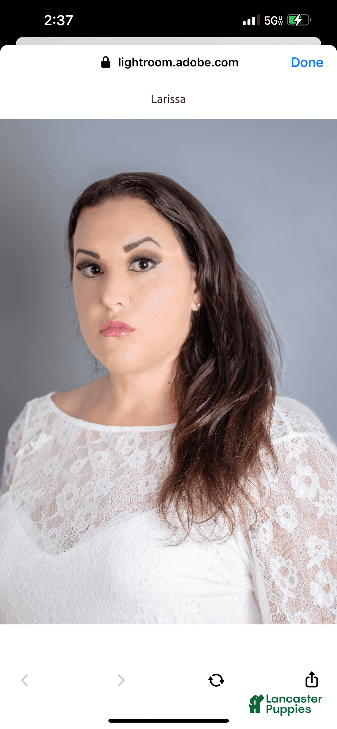 Gallery Image {{count}}